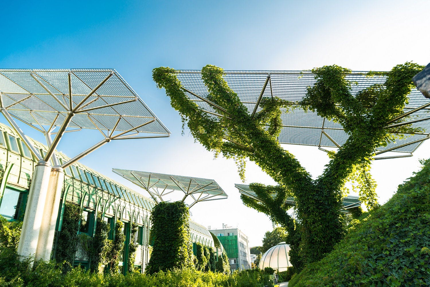 Building with plants Building with plants