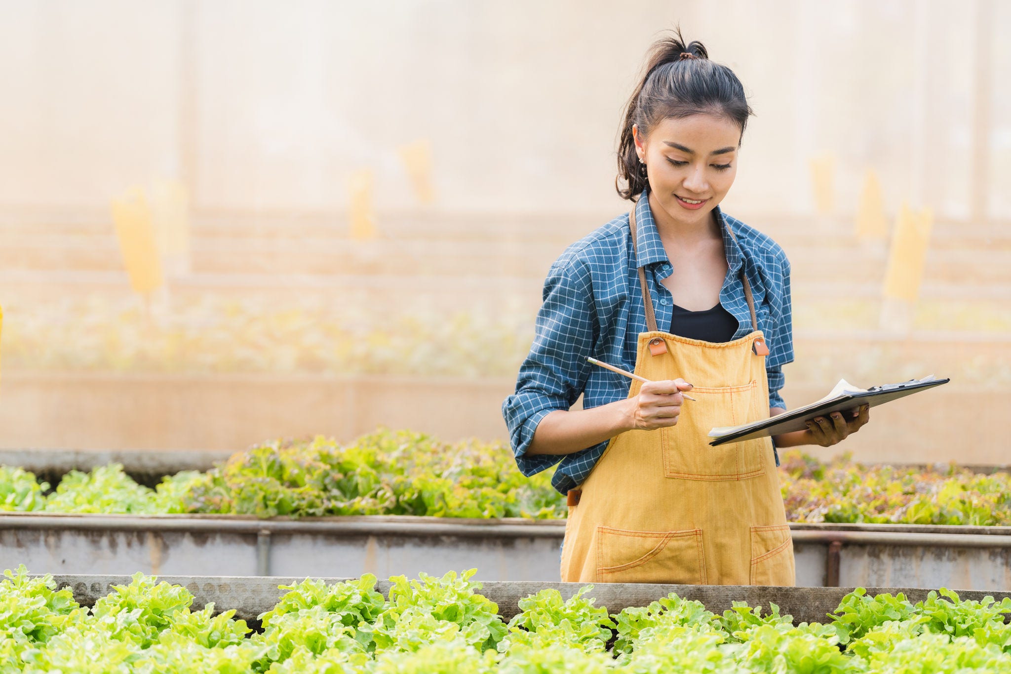 Young Asian woman smart farmer